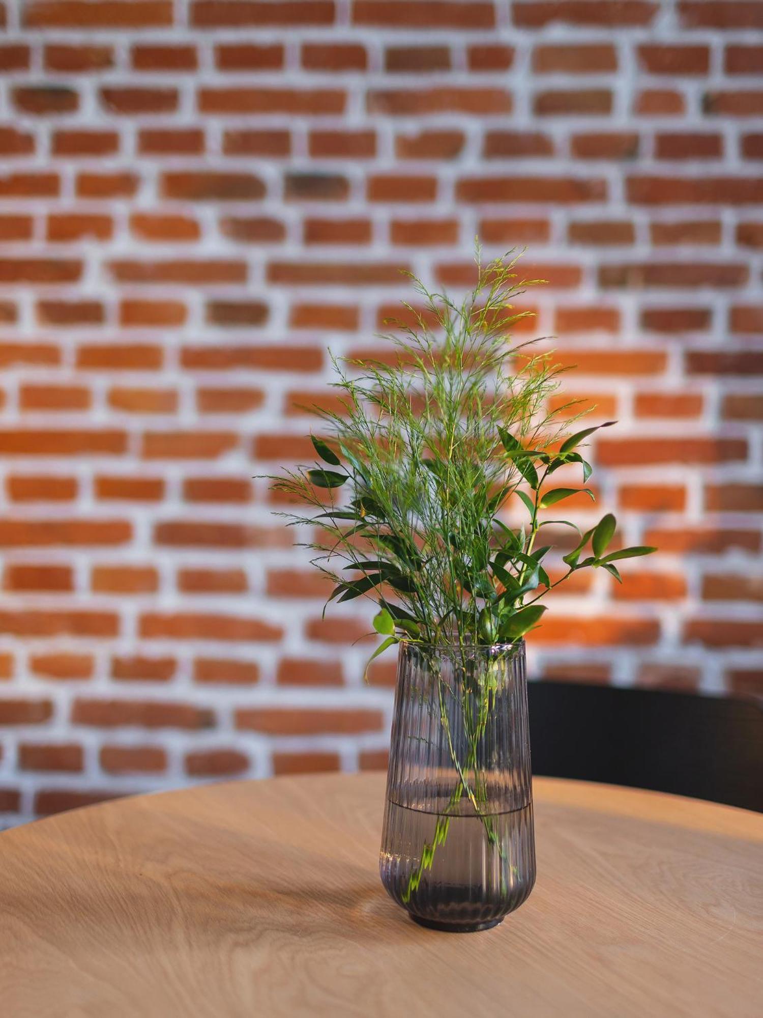 Apartament Center - Radziwillowska 27 *